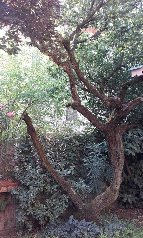 Appartamento Giardino Verde Modena Bagian luar foto