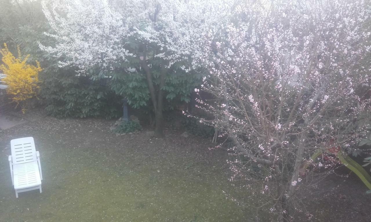 Appartamento Giardino Verde Modena Bagian luar foto